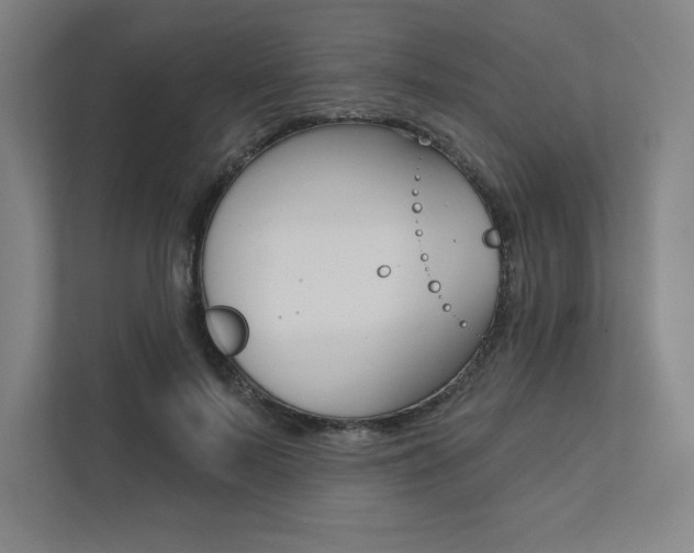 X0000112030695200908031022