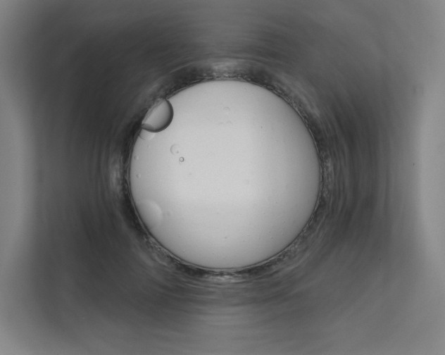 X0000112030698200908031022