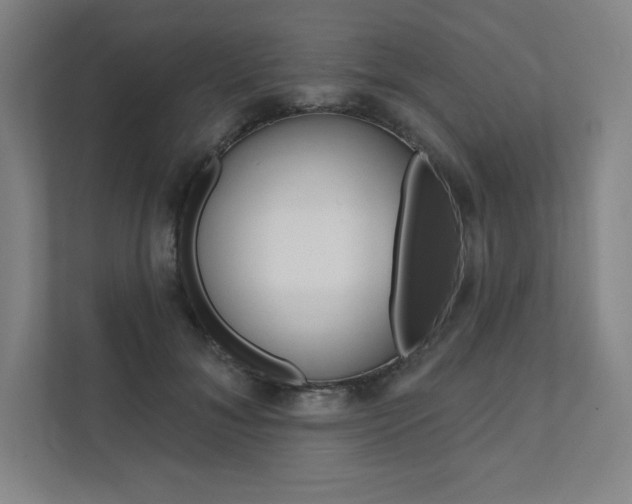 X0000112030700200908031022