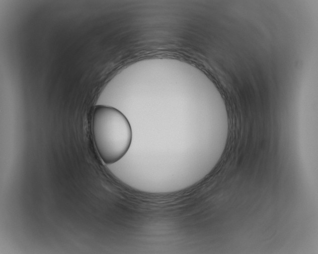 X0000112030704200908031022