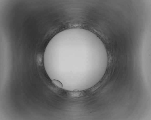 X0000112030709200908031022