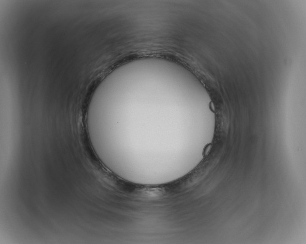X0000112030711200908031022