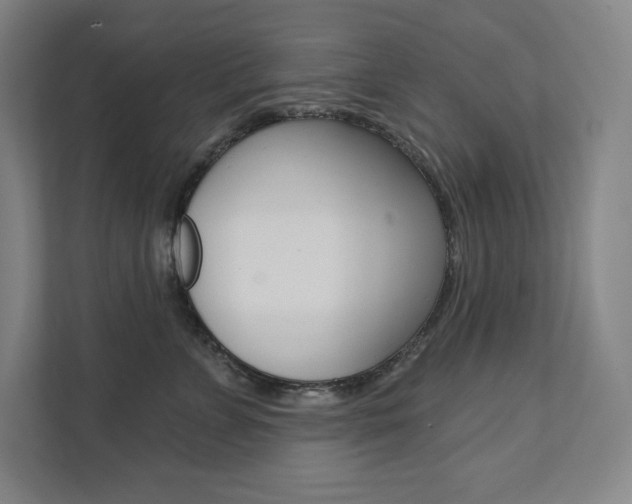 X0000112030715200908031022
