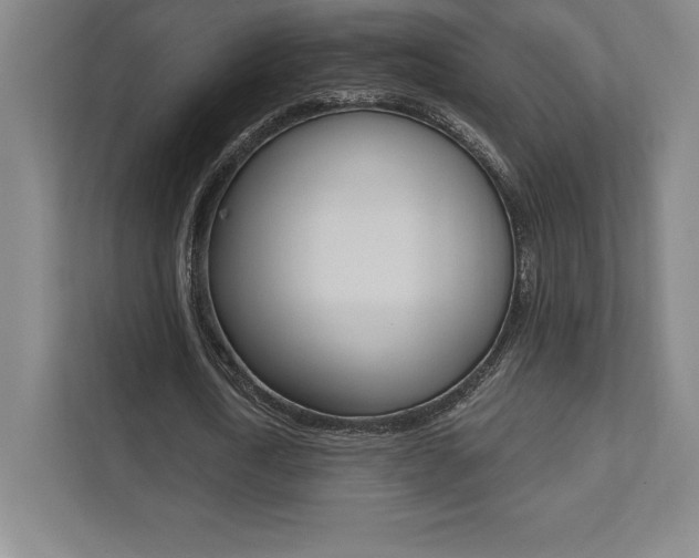X0000112030722200908031021