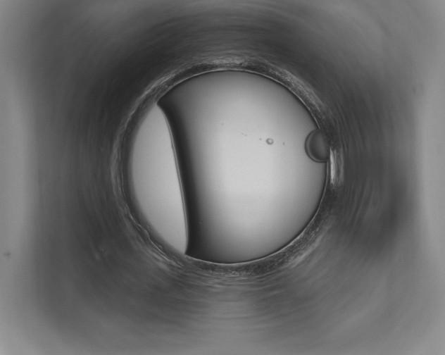 X0000112030723200908031021