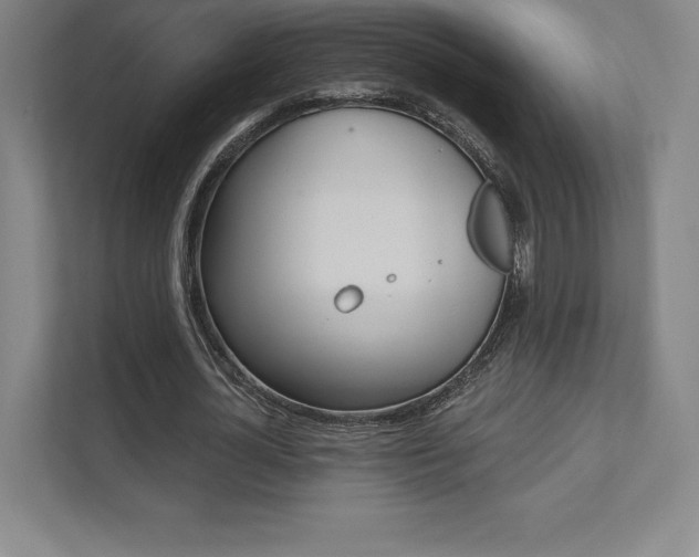 X0000112030724200908031021