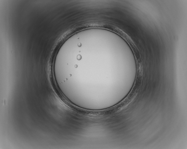X0000112030725200908031021