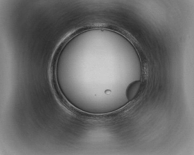 X0000112030726200908031021
