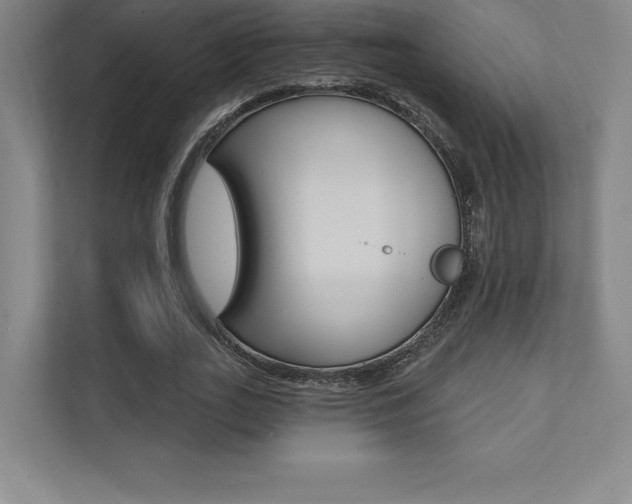 X0000112030727200908031021