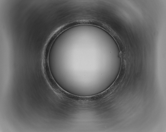 X0000112030728200908031021