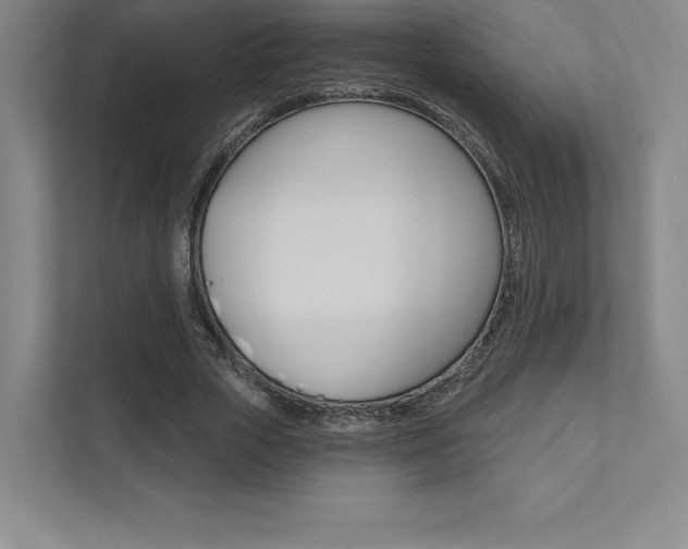 X0000112030729200908031021
