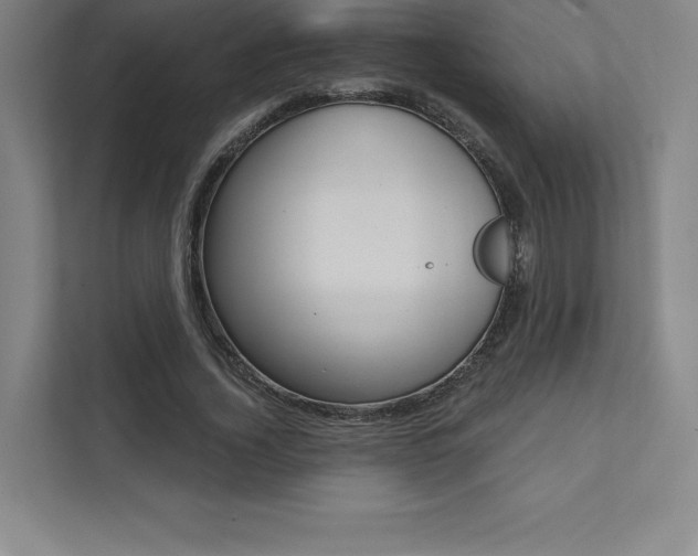 X0000112030732200908031022