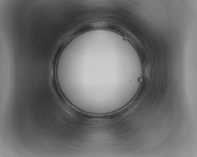 X0000112030733200908031022