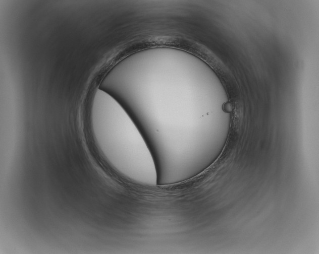 X0000112030734200908031022