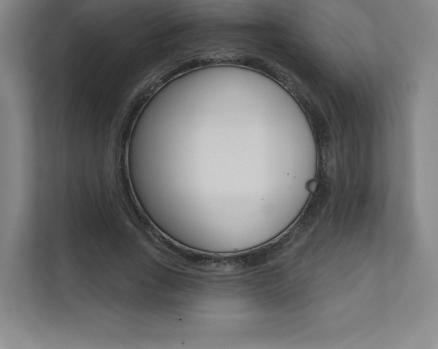 X0000112030735200908031022