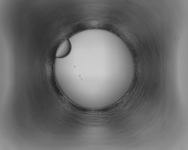 X0000112030746200908031022