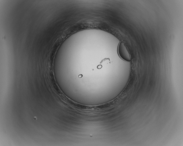 X0000112030752200908031022