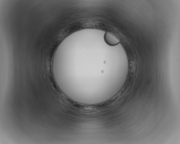 X0000112030753200908031022
