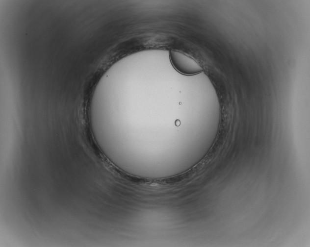 X0000112030755200908031022