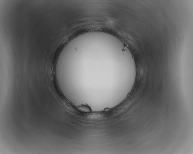 X0000112030759200908031022