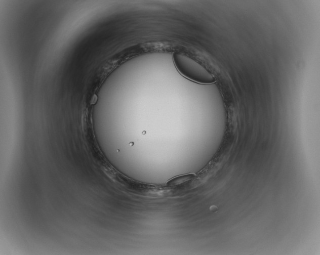 X0000112030760200908031022