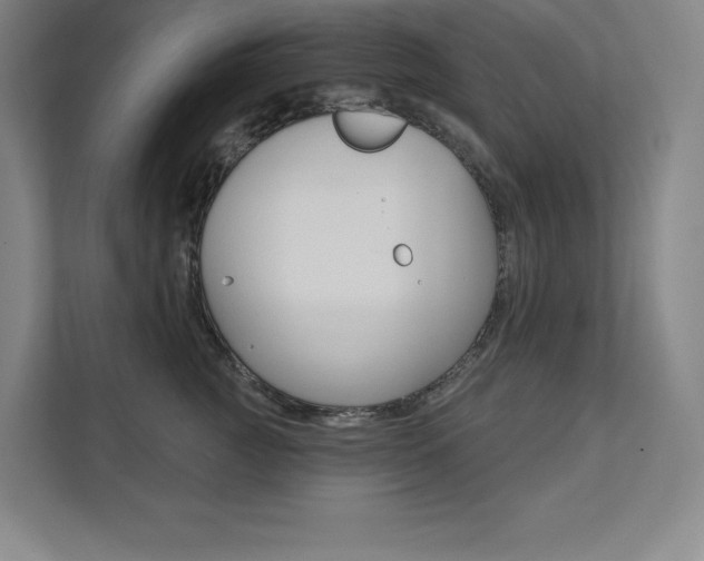 X0000112030761200908031022