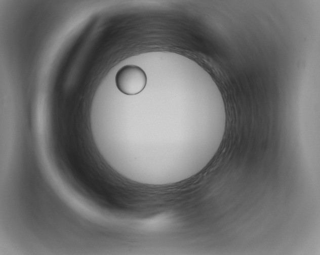 X0000112030764200908031022