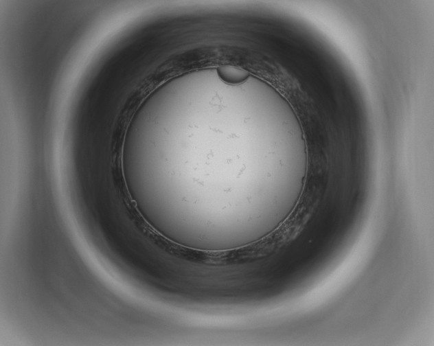 X0000112030766200908031022