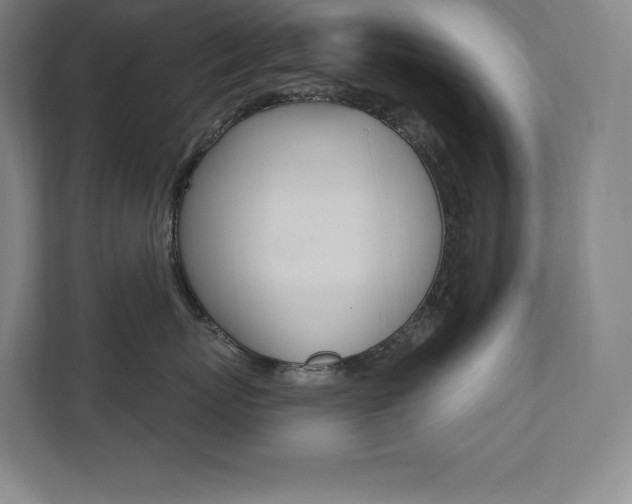 X0000112030767200908031022
