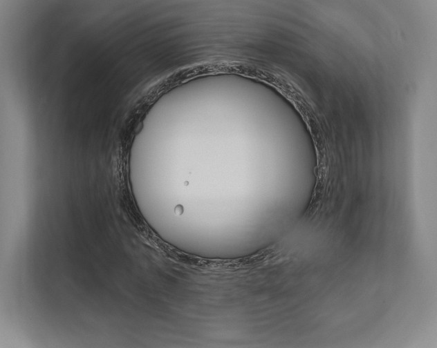 X0000112030773200908031021