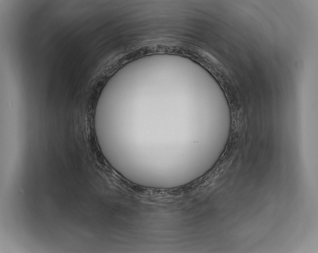 X0000112030774200908031021