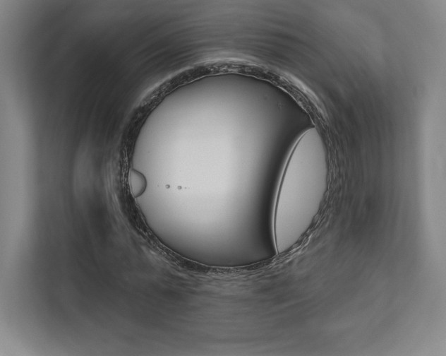 X0000112030775200908031021