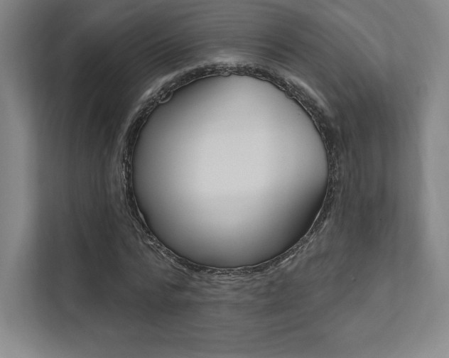 X0000112030776200908031021