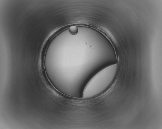 X0000112030780200908031021
