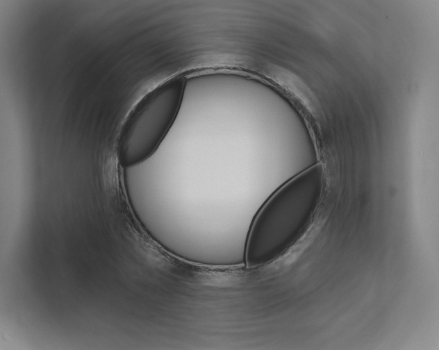 X0000112030781200908031021