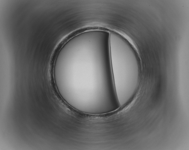 X0000112030783200908031021