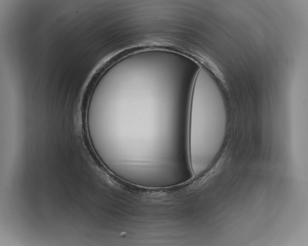 X0000112030784200908031021