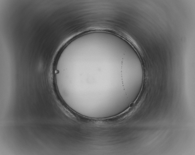 X0000112030787200908031021
