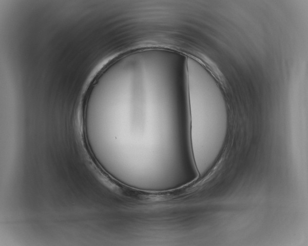 X0000112030796200908031021