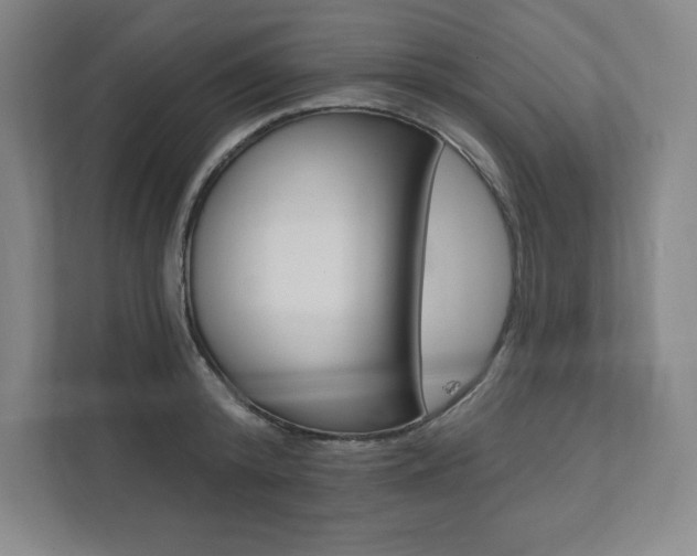 X0000112030800200908031021