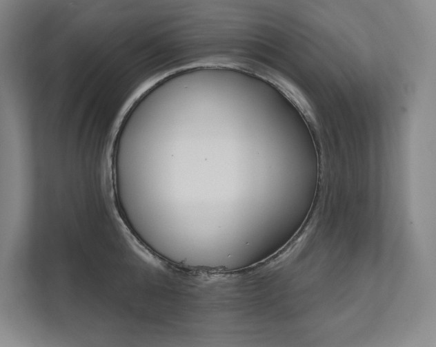 X0000112030808200908031021
