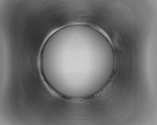 X0000112030811200908031021