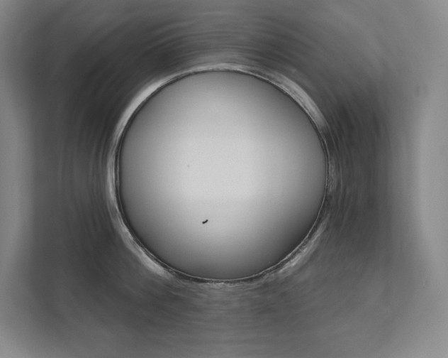 X0000112030812200908031021