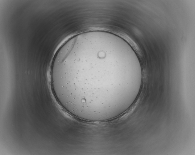X0000112030814200908031021