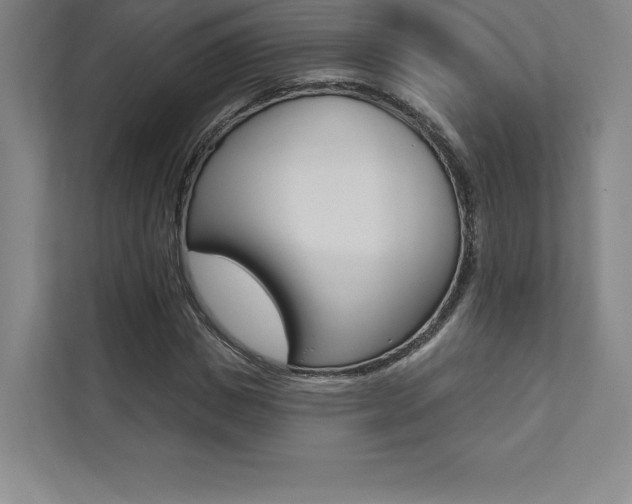 X0000112030825200908031020
