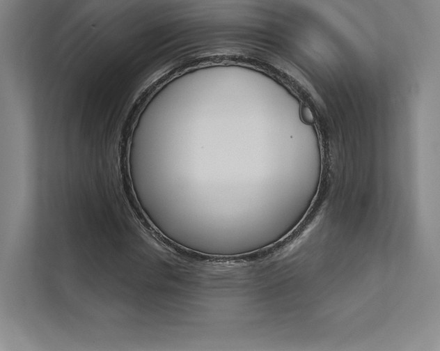 X0000112030826200908031020