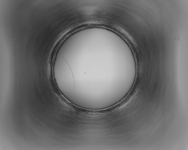 X0000112030829200908031020
