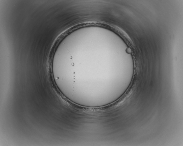 X0000112030831200908031020