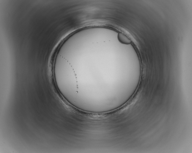 X0000112030835200908031020