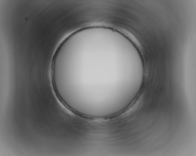 X0000112030847200908031021